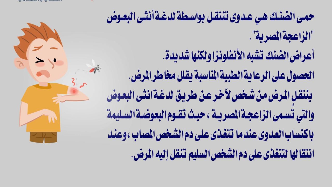 5 حقائق خطيرة عن حمى الضنك 2 حمى الضنك