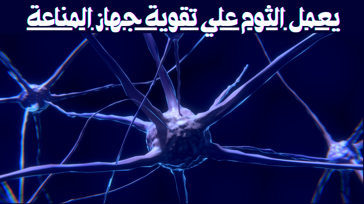 فوائد الثوم: 10 أسرار صحية مذهلة لا تعرفها 2 %D8%AA%D9%82%D9%88%D9%8A%D8%A9 %D8%AC%D9%87%D8%A7%D8%B2 %D8%A7%D9%84%D9%85%D9%86%D8%A7%D8%B9%D8%A9 1