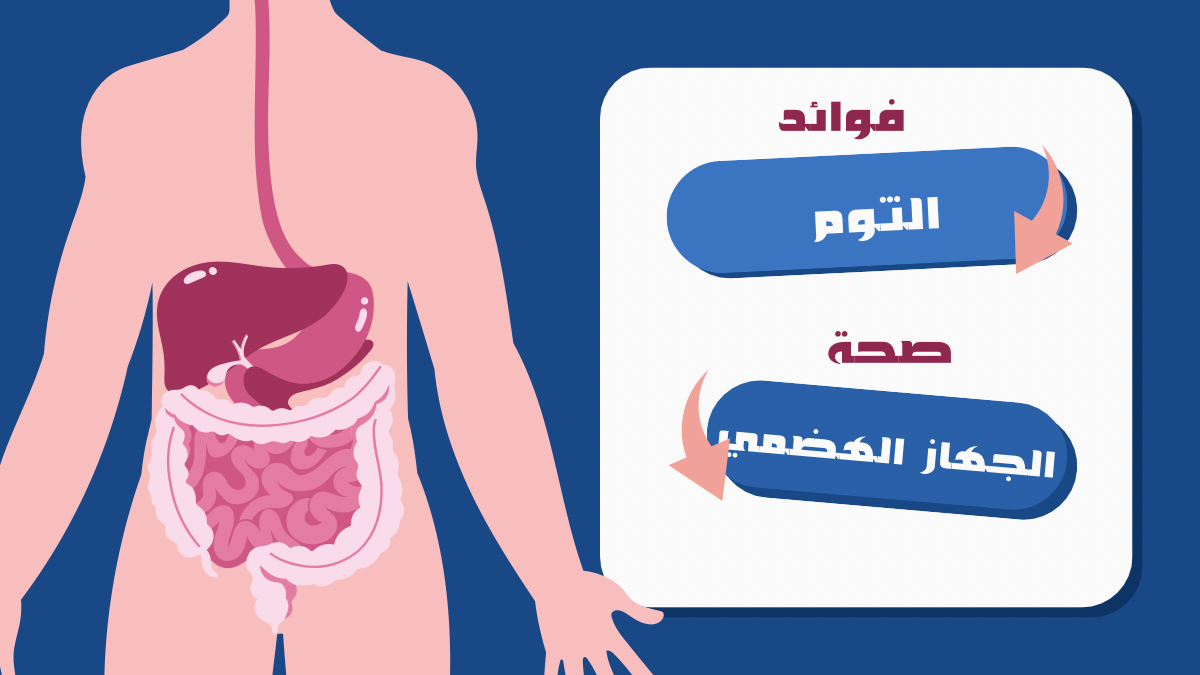 فوائد الثوم: 10 أسرار صحية مذهلة لا تعرفها 6 من فوائد الثوم تحسين صحة الجهاز الهضمي