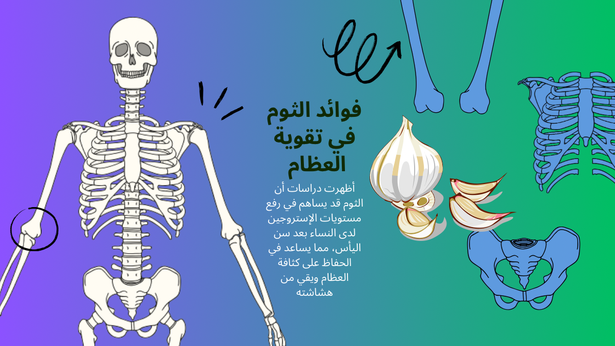 فوائد الثوم: 10 أسرار صحية مذهلة لا تعرفها 8 فوائد الثوم في تقوية العظام